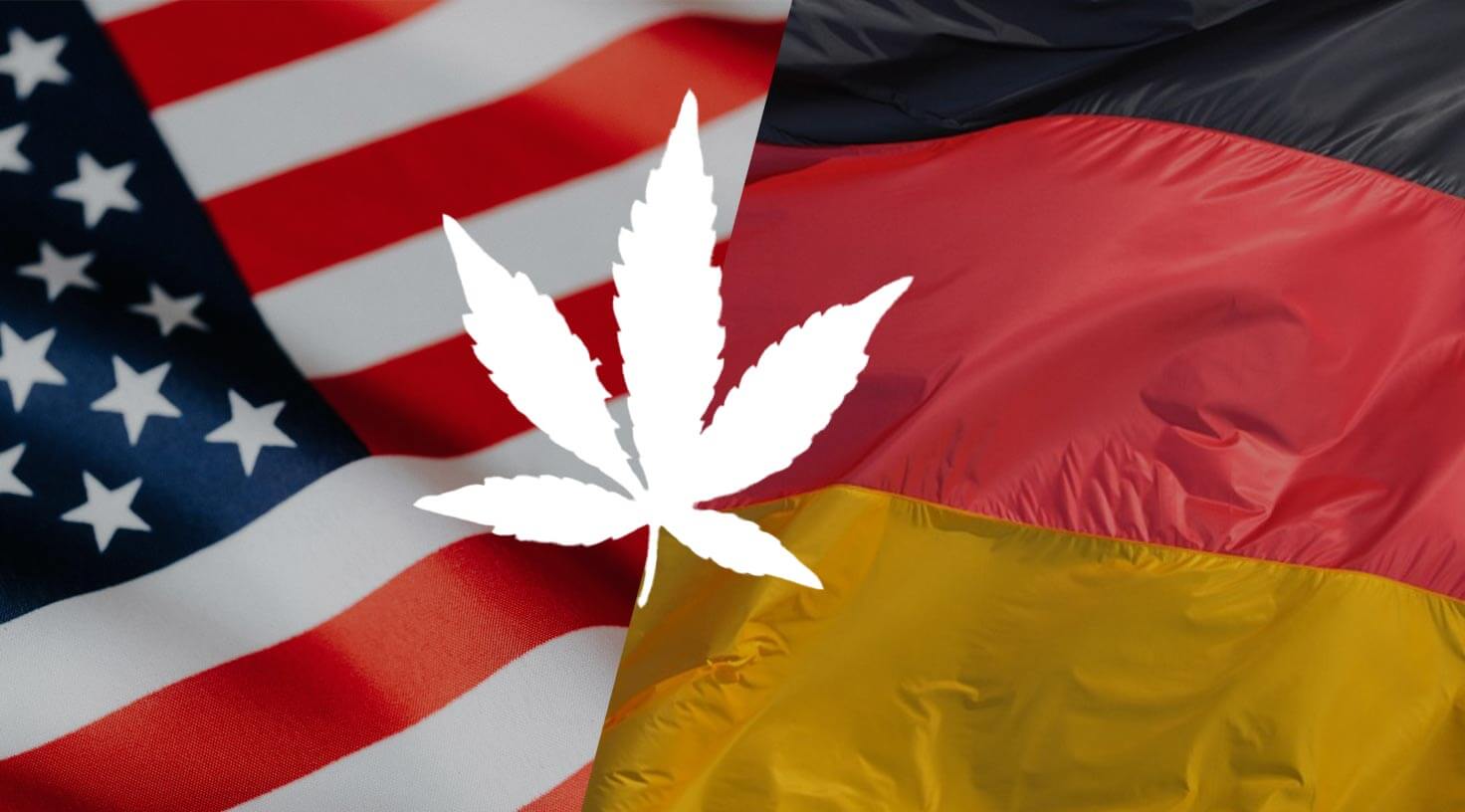 Vergleich der Cannabis-Gesetze: Deutschland, USA, Kanada und mehr